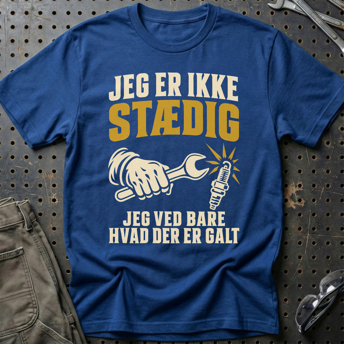 
Produktbillede af Jeg er ikke stædig jeg ved bare hvad der er galt T-Shirt